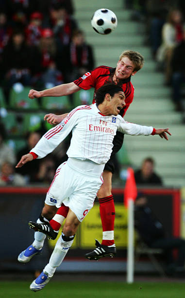 在国内许多 在国内许多